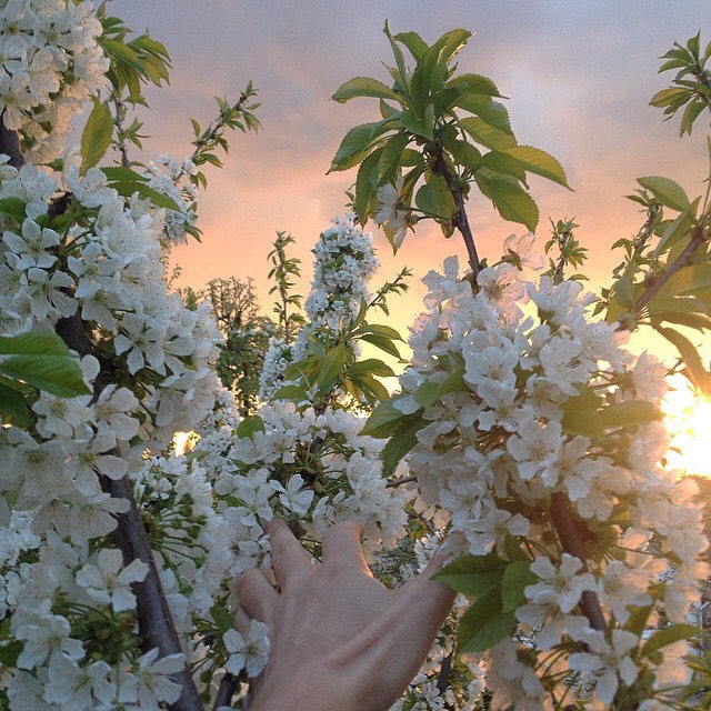 Take me here to die thx...