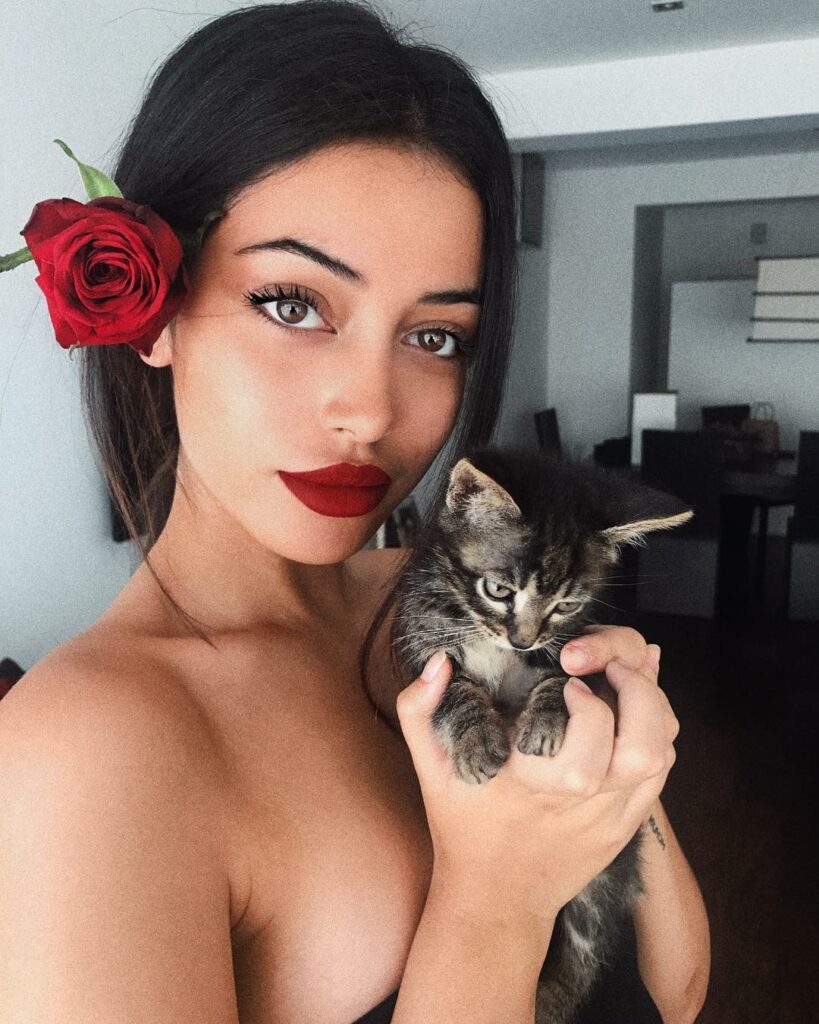 i found this kitty and adopted it does 3 cats make me an official cat lady...
