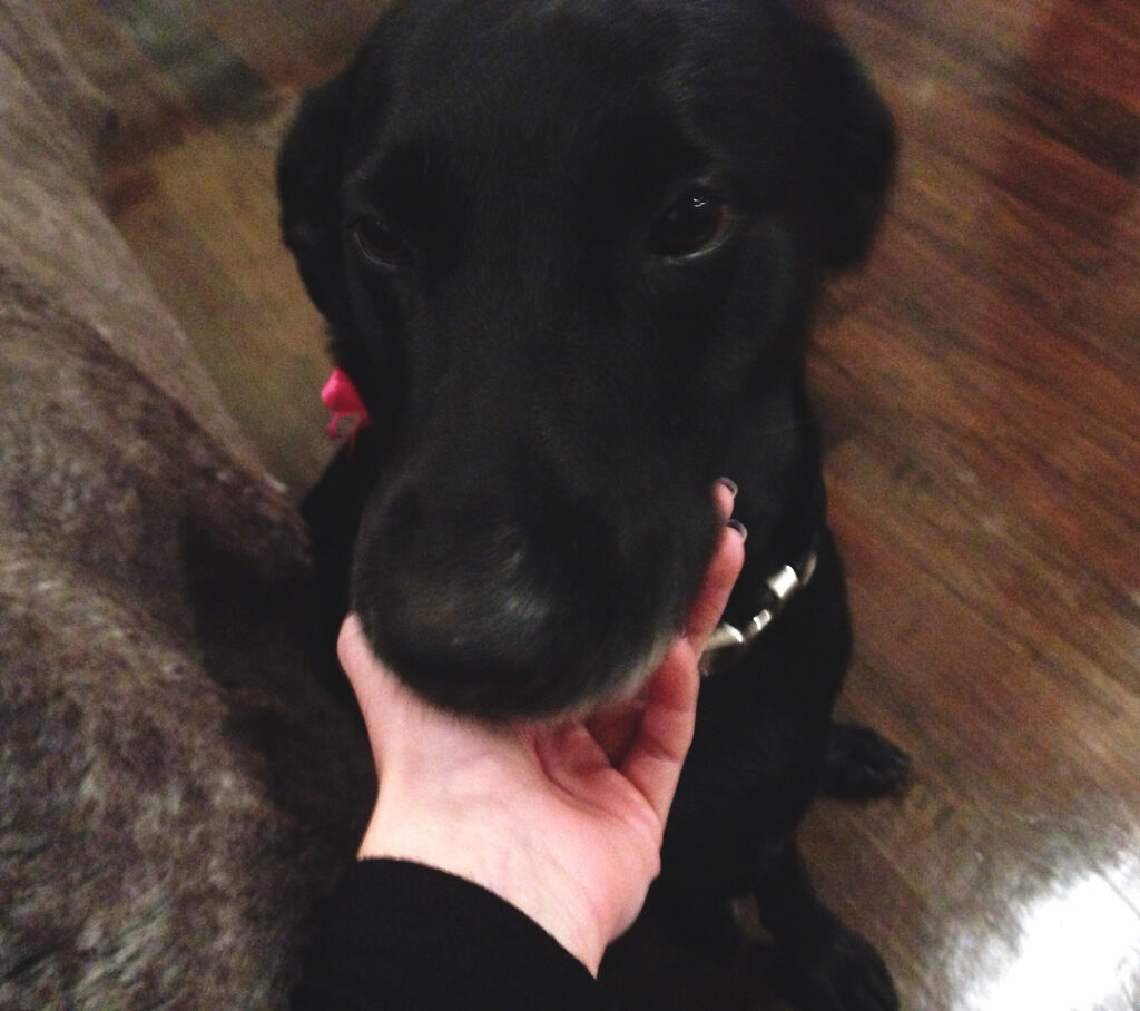 i’ll miss your kisses forever Gooby  i know you’re up there swimming, little fis...