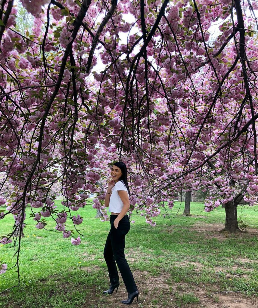 fun fact : the plantings of cherry blossoms originated in 1912 as a gift of frie...