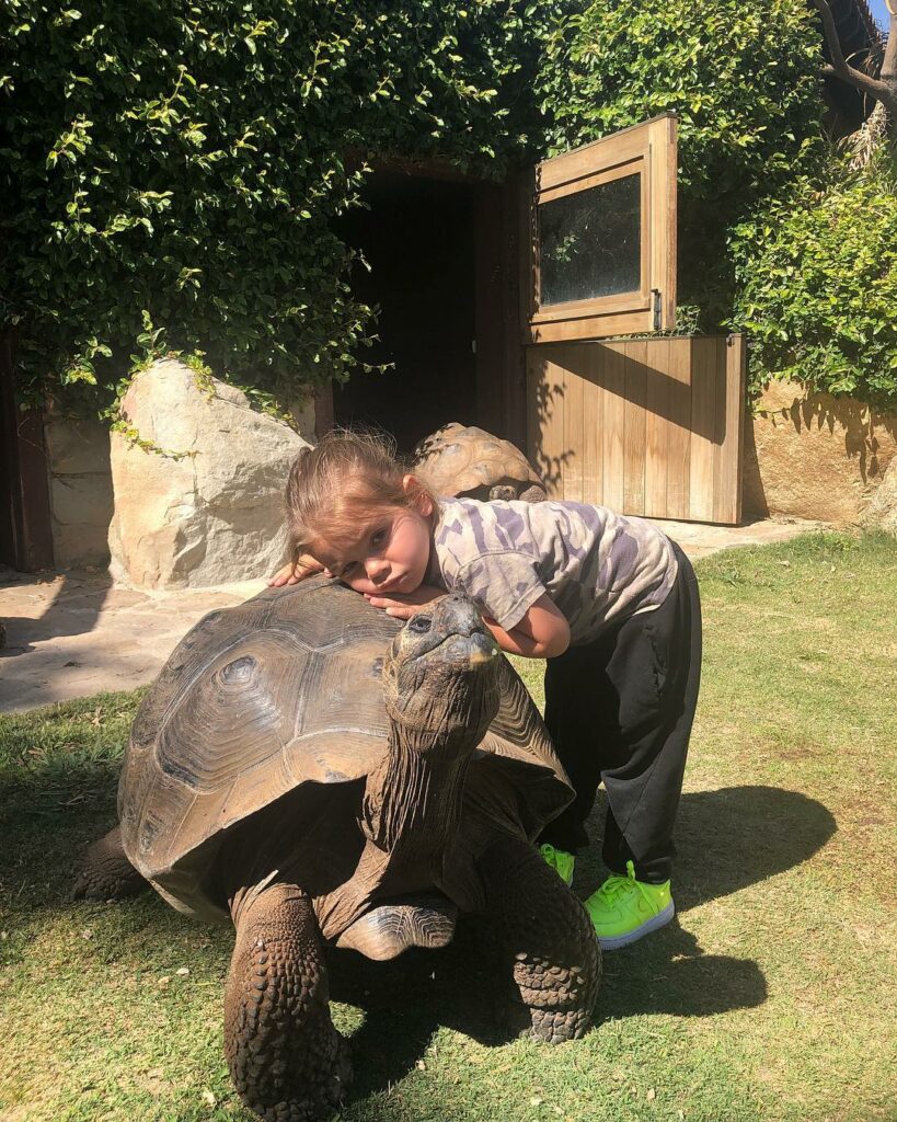 turtle hug  @turtleconservancy...