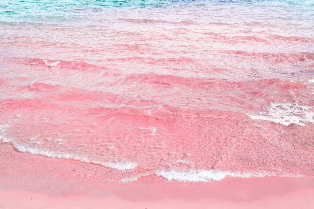 Take me please...