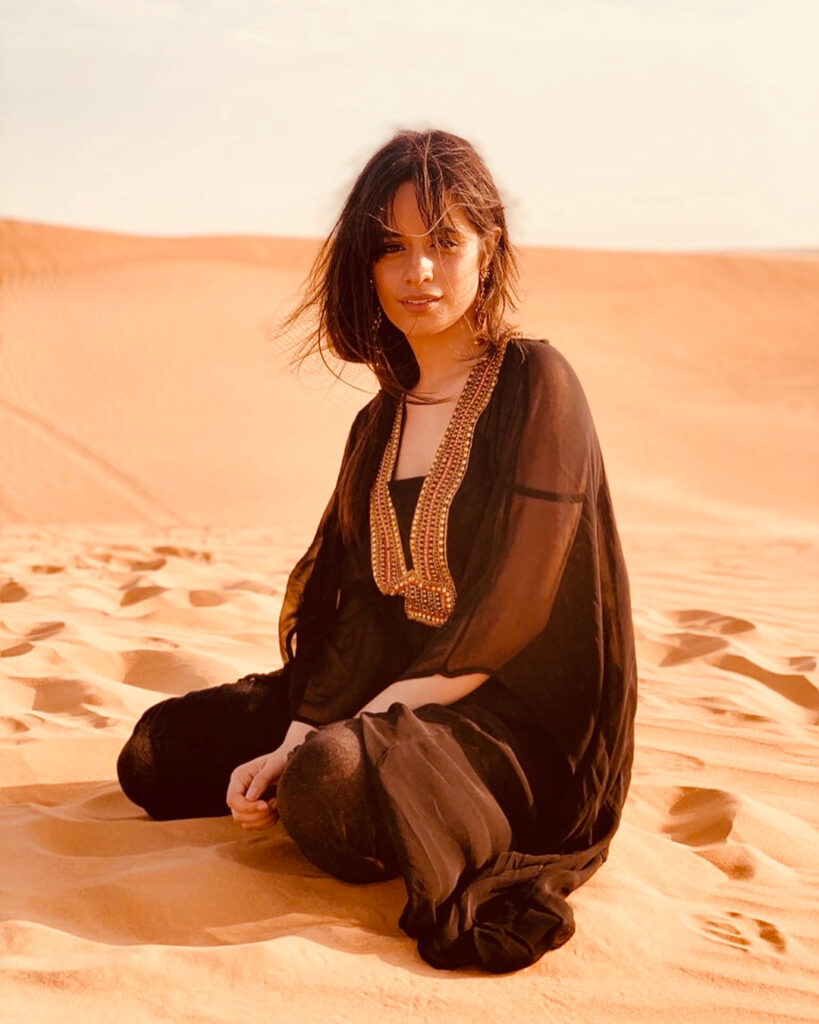 “What makes the desert beautiful is that somewhere it hides a well.”- The little...