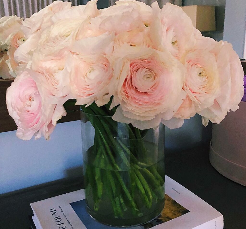 Sweet Sunday...
