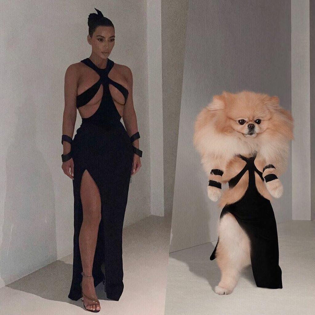 Guess who’s trying to be the family favorite… SUSHI!!!! Do your pets compete for...