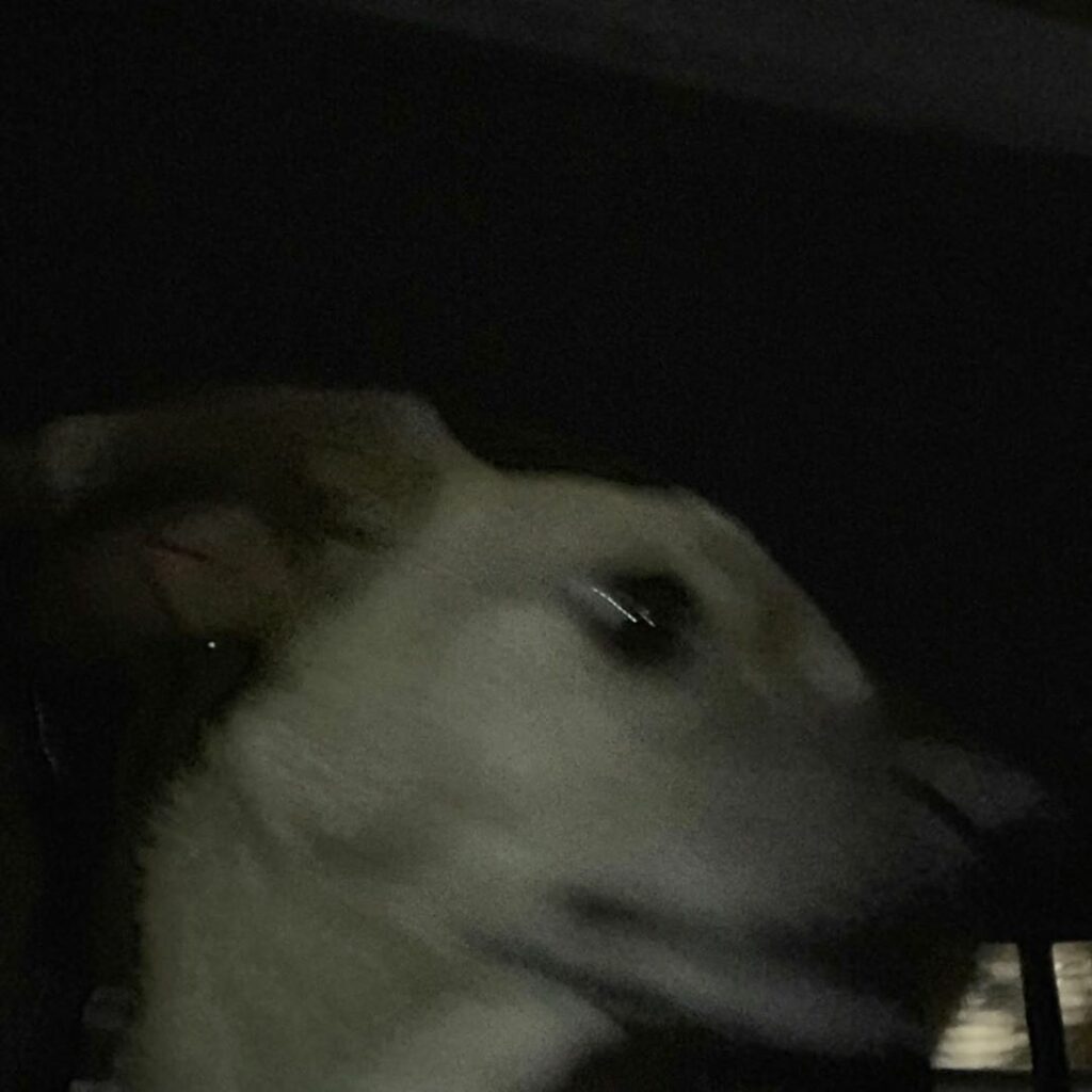 ...