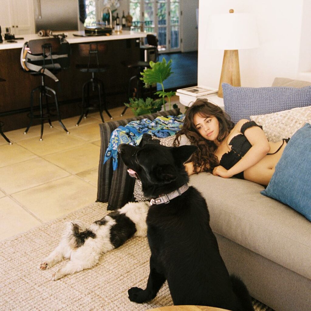 Camila Cabello: I remember growing up hearing stories of the singers I loved, all the stories so… I remember growing up hearing stories of the singers I loved, all the stories so...