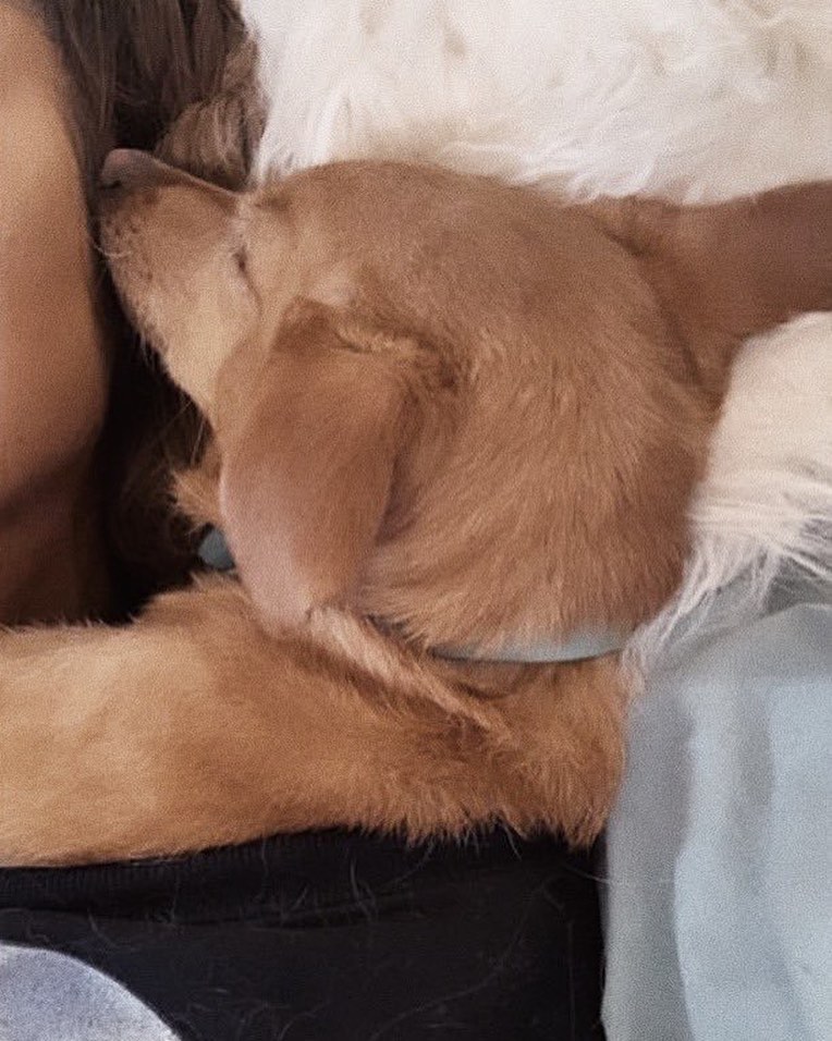 been napping inside my shirt for over an hour...