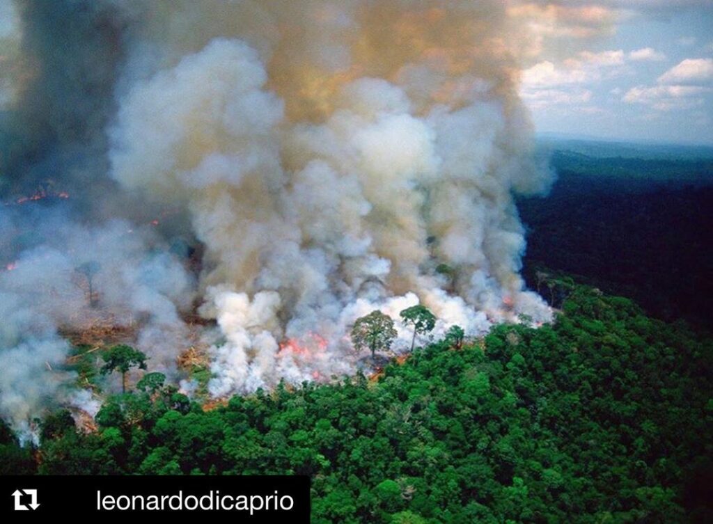Camila Cabello: this is heartbreaking and terrifying This makes me want to cry with frustratio… this is heartbreaking and terrifying This makes me want to cry with frustratio...