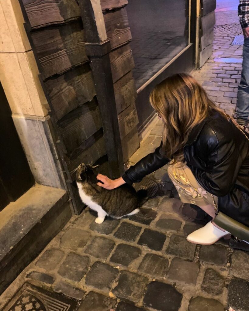 found a cat, ten points...