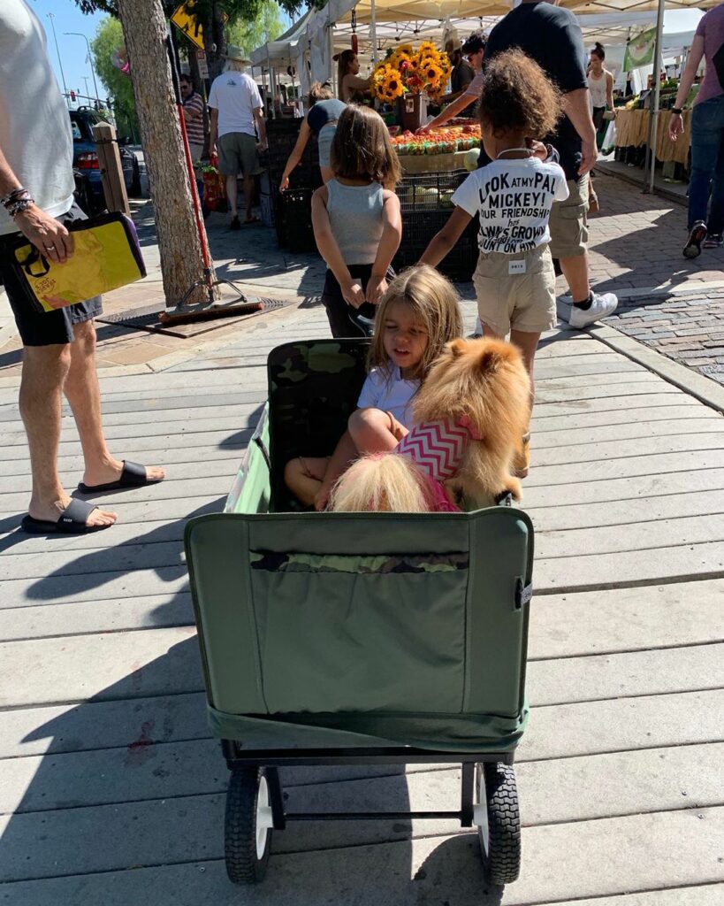 Anything I do with my kids is so much better because I get to experience it at l...
