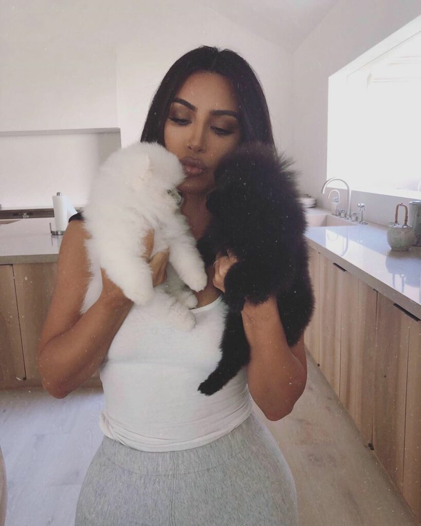 Meet our new babies! We just need names! North came up with names that go with o...