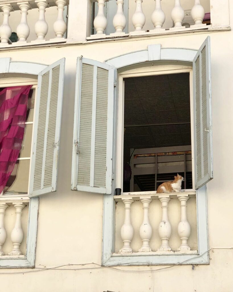 my mother is in france and she just sent this to me ...