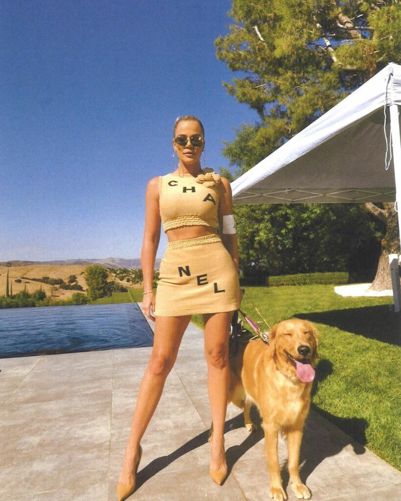 Does your dog bite?  @amberasaly...