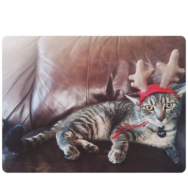 I imagine he's pretty stoked Christmas is over....
