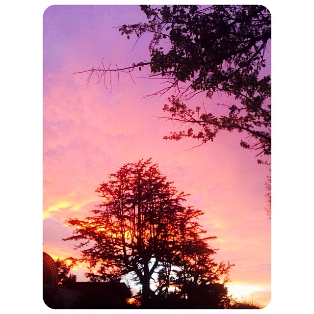 beautiful Los Angeles, your sky is on fire tonight. [Not even sort of a filter o...