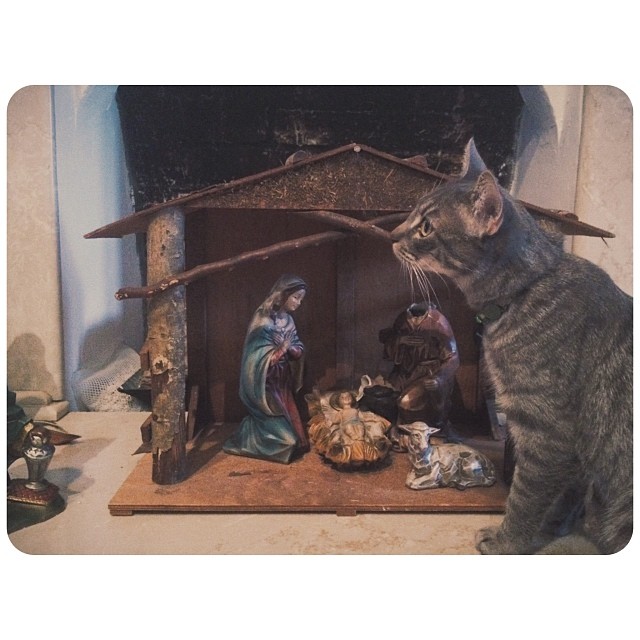 The Doctor disapproves of the nativity set... presumably for reasons including, ...