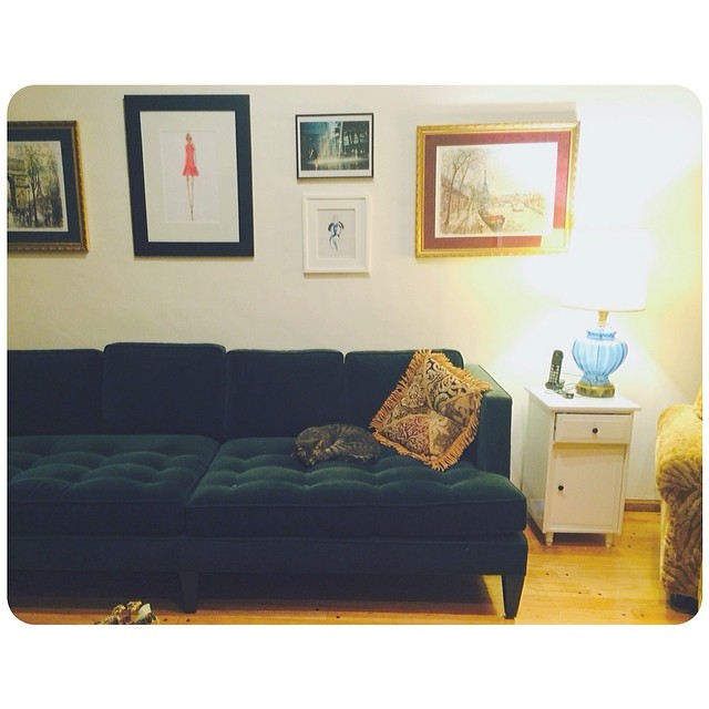 catnap...