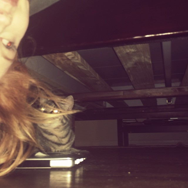 sometimes after a long day, I'll hang upsidedown to where my cat is, so as to sh...