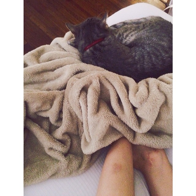 warm fuzzies in a Sunday bed. [Don't mind my bruises. Doing all your own stunts ...