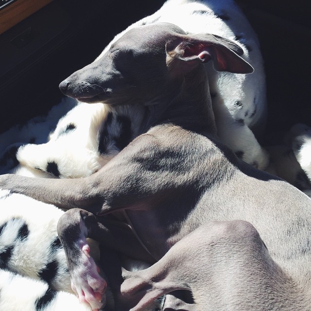 We are overrrr this fkingggg road trip...