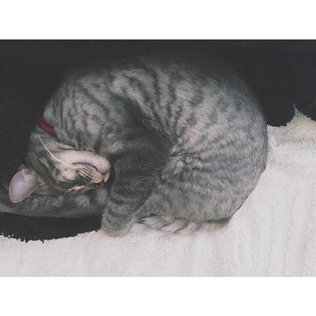 ok cool, you just be there laying like that....