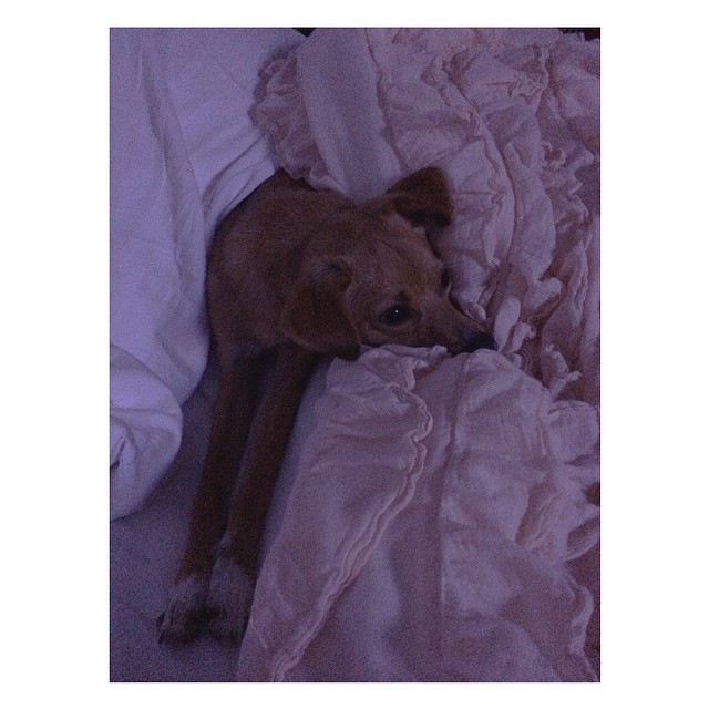 goodnight ...