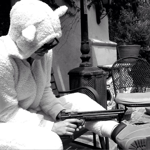 A wolf in sheeps clothing. Photo Cred @spifftvfilms...