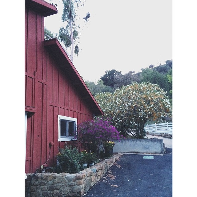 shooting here was pretty....