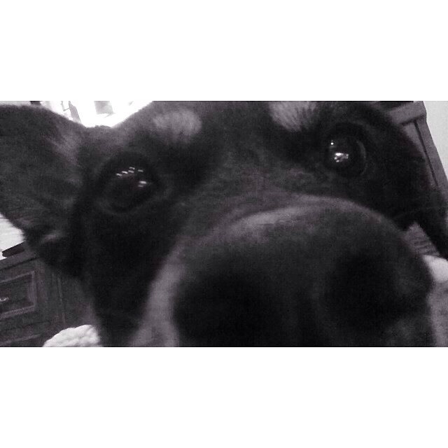 coco selfie...