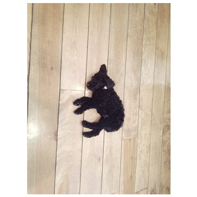 throwback tiny ophelia...