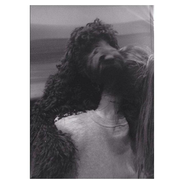 repost  today is Ophelia's 1st birthday. my baby. I love you so much u huge beau...