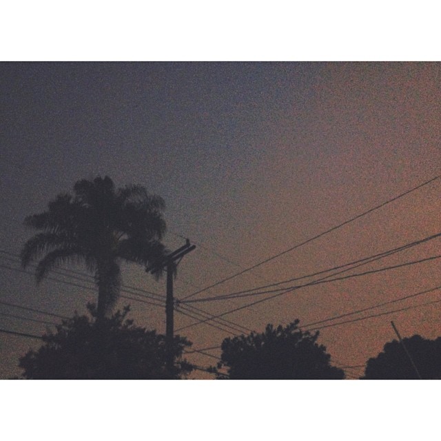 oh good morning, Los Angeles, you pretty thing...
