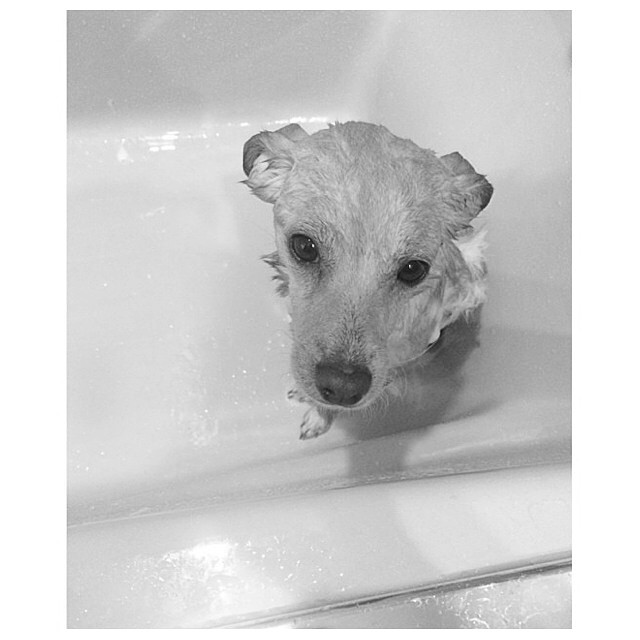 happy 1st birthday Toulouse my baby my heart my joy...