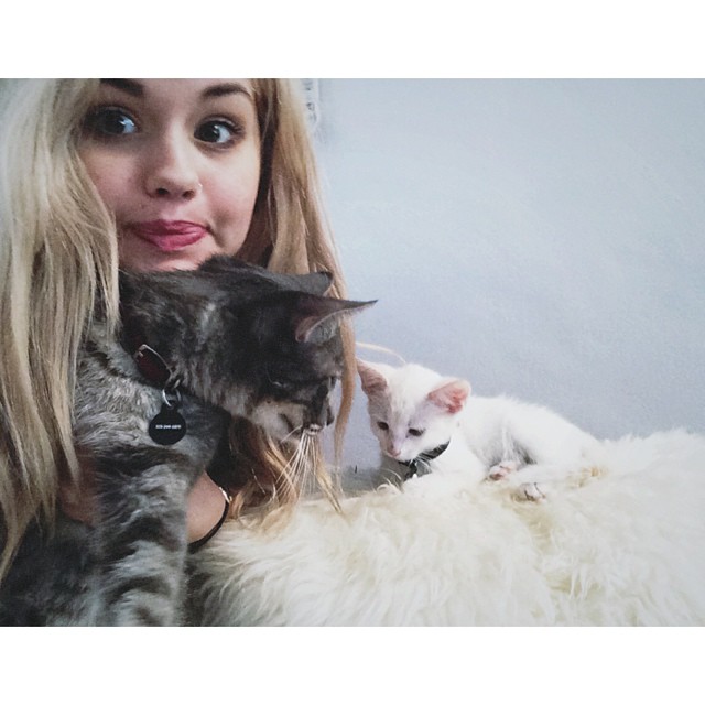 #NationalKissingDay? more like #NationalThirdWheelingMyCatsDay 
but yes. there i...