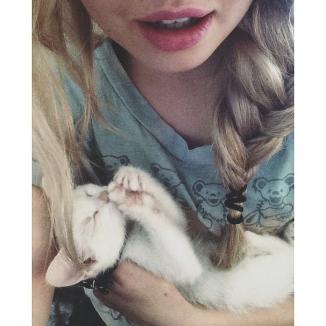 little backyard kitty, how were you all alone in the world?...