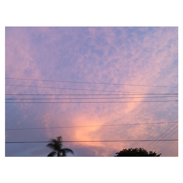 periwinkle sky from yesterday...