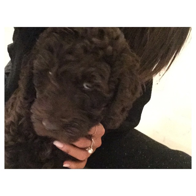 but whyyyyy so cute, man?...