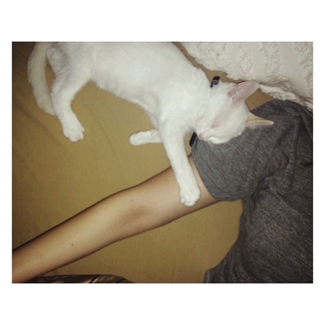 kid can't sleep unless we're touching. 
#same...