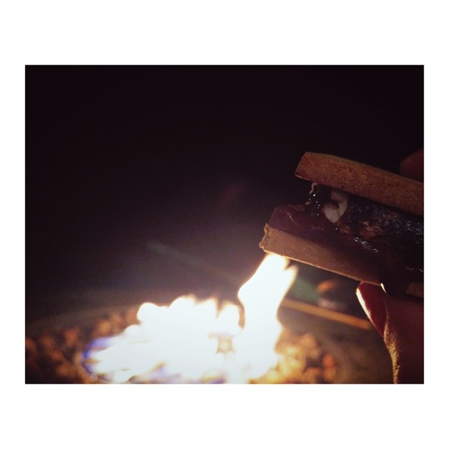 vegan s'more my life rn 
#afterparty...