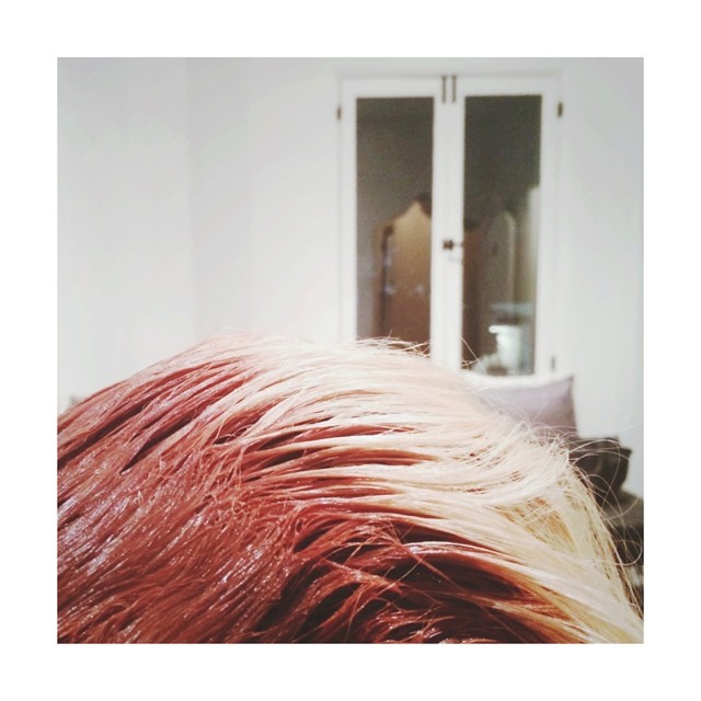 hair today 
gone tomorrow. 
bye bye blondie; #hayjessie...