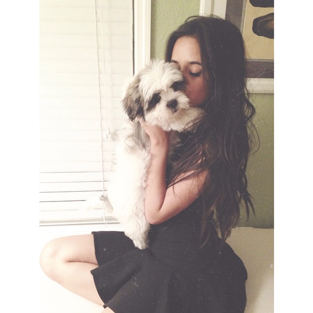ALAS, LEO. the cutest fluffiest cloud of affection in the whole Milky Way galaxy...