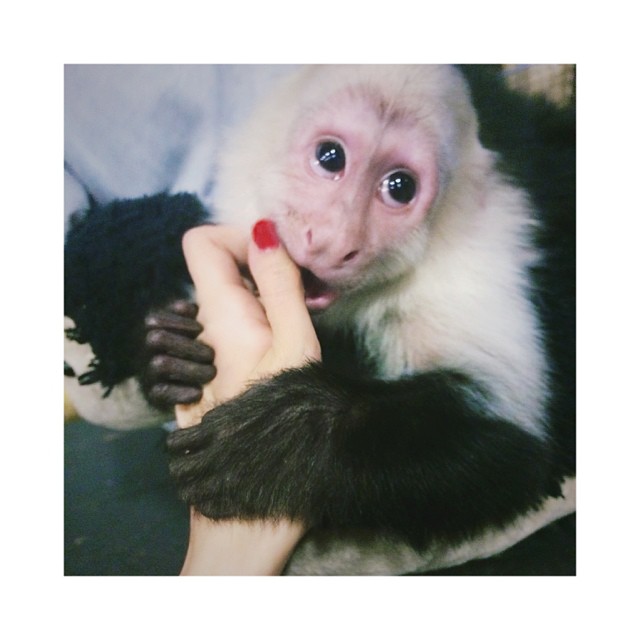 I made a friend // ickle bb Allie likes the reds...