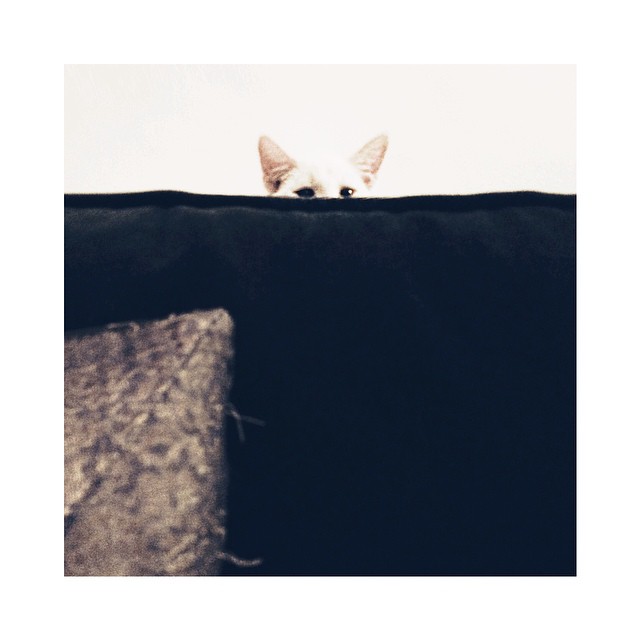 you creep // @kidandthedoctor...