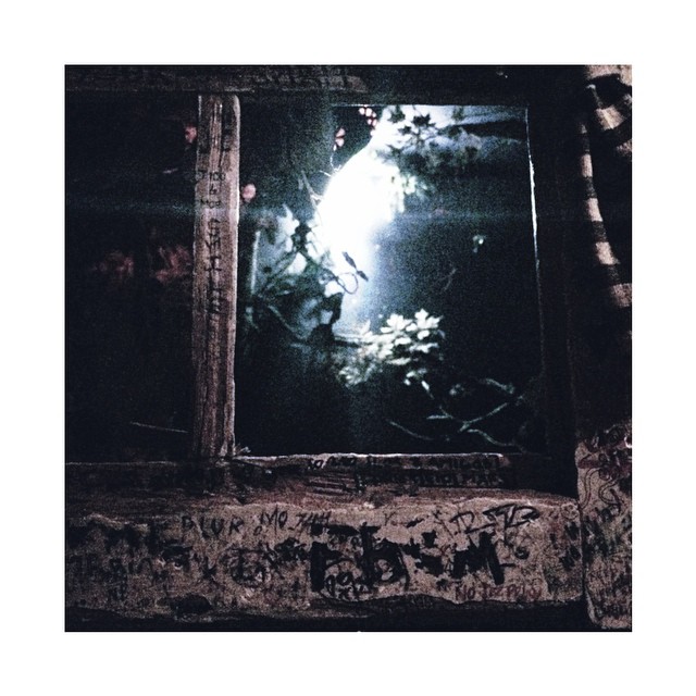 inside a treehouse inside // full moon fever...