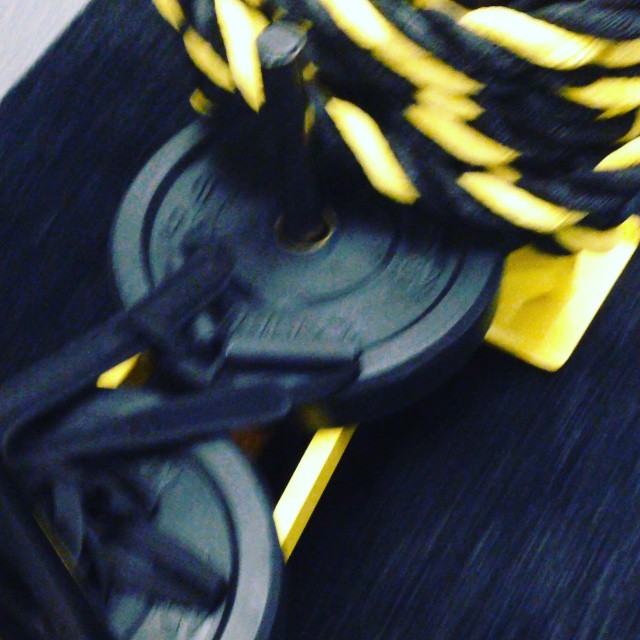 #LaterGram... I love looking in my phone and seeing these funny videos! @gunnarf...