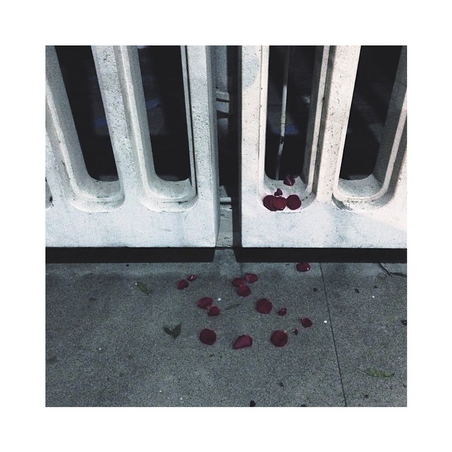 I don't know what happened here but there's probably a song being written about...