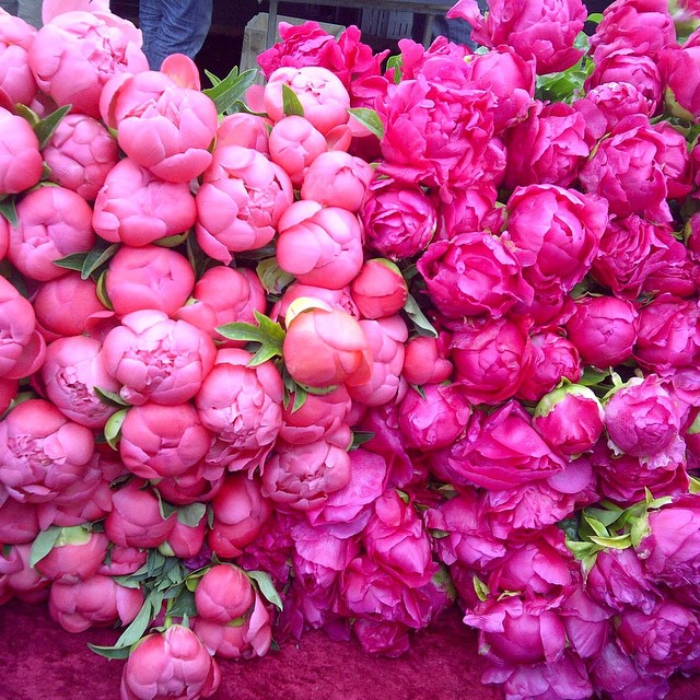 Flower market morning...