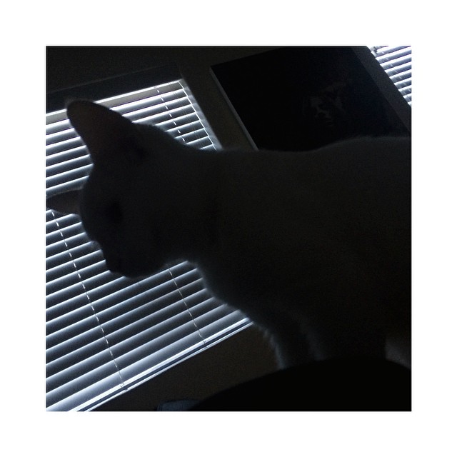 the view // morning, kid...