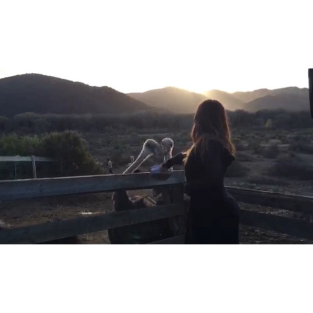 Hungry fella!!! Video shot by @erinpaxton...